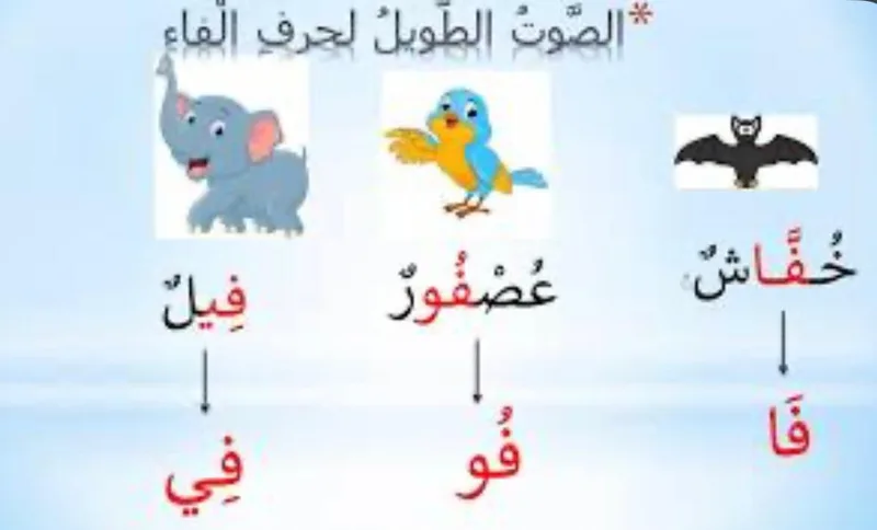 صورة: الصوت الطويل (المد)