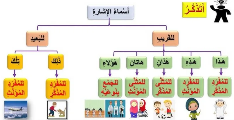 صورة: اسم الإشارة