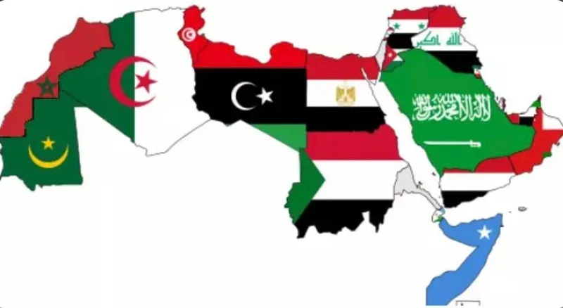 صورة: الوطن