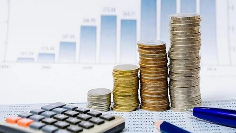 صورة: الميزانية