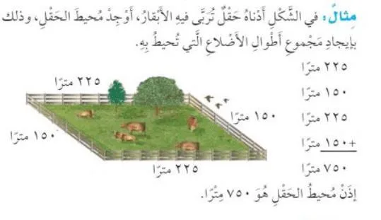 صورة: المحيط