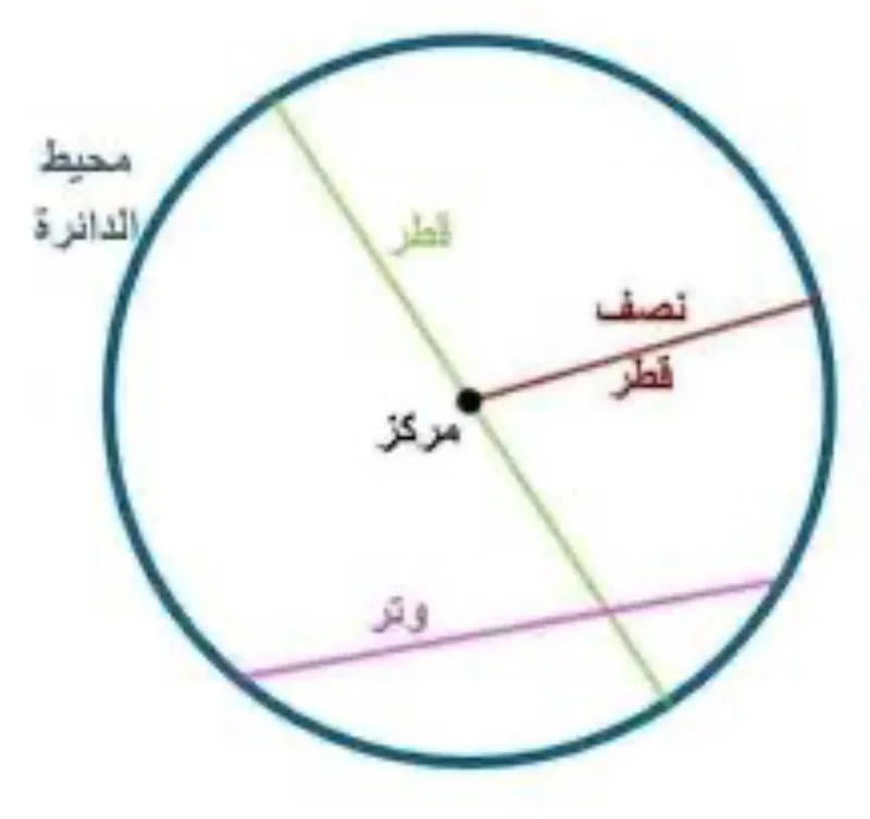 صورة: الوتر