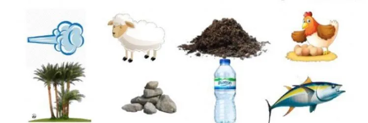 صورة: موارد طبيعية