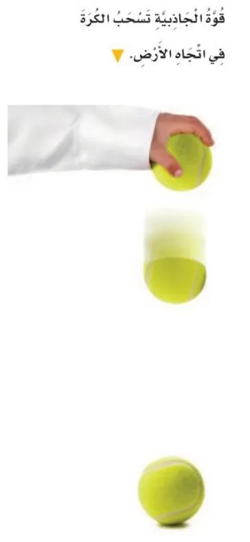 صورة: الجاذبية